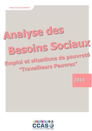 Analyse Des Besoins Sociaux 2015