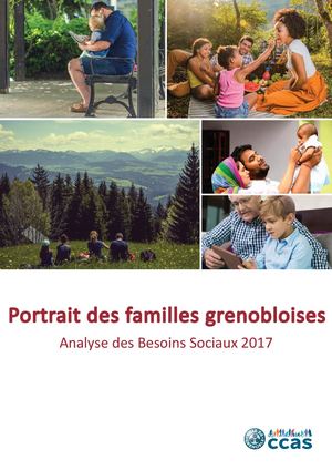 Analyse Des Besoins Sociaux 2017