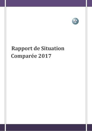 Rapport De Situation Comparee De La Ville De Grenoble 2017