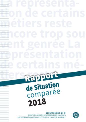 Rapport De Situation Comparee De La Ville De Grenoble 2018