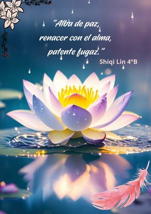 Haikus Por La Paz 4ºb