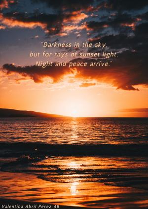 Haiku Poems About Peace 4ºB