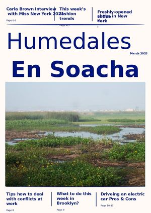 Interactive Newspaper Template[1] Pdf