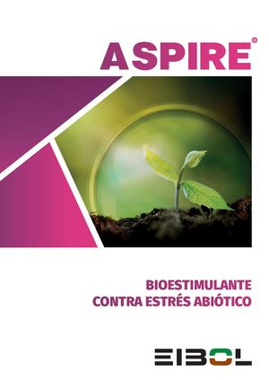 Catálogo Aspire