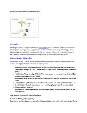 What Do Legumes Fit into the Nitrogen Cycle: Essential Role Explained