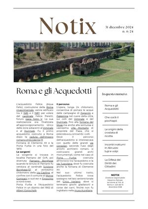 Notix n. 6 /2024