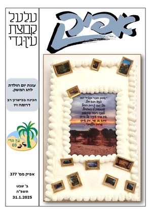 אפיק 377 1 2025