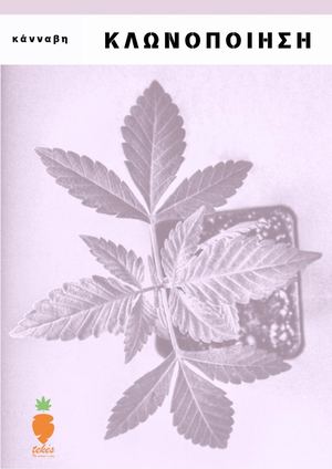 Special Issue - Cannabis Cloning
