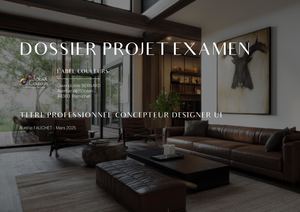 Dpe Concepteur Designer UI