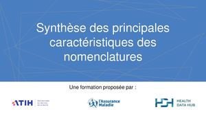 Formation Nomenclatures Snds Synthèse