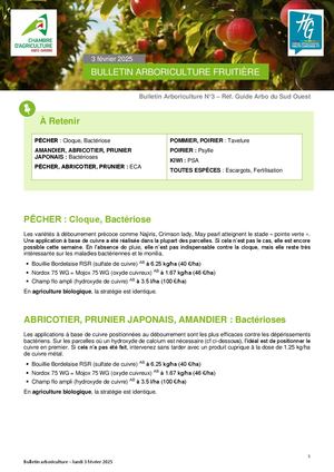 Bulletin Arbo n°3 du 3 Février 2025