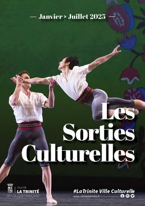 Sorties Culturelles Numérique