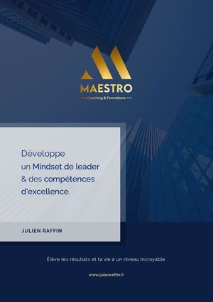 Coaching Mentoring Individuel Maestro 2025