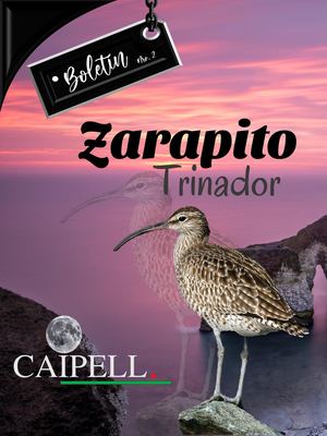 Boletín Zarapito Trinador N°2 Enero 2022