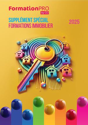 Supplément Immobilier 2025