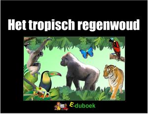 Het Tropisch Regenwoud