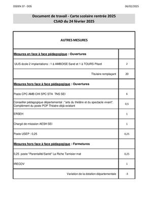 IA37 Doc Travail Mesures Autres Csad Du 24 Fév 2025