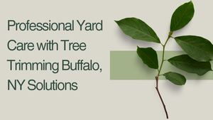 Professional Yard Care with Tree Trimming Buffalo, NY Solutions