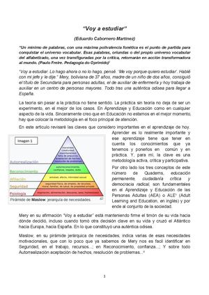 Voy A Estudiar Artículo Quaderns