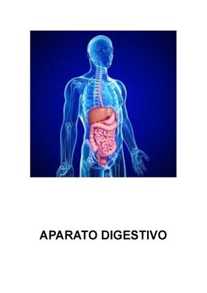 Digestión En Animales