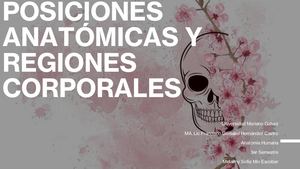 Posiciones Anatómicas y Regiones Corporales
