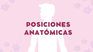 Álbum De Las Posiciones Anatómicas