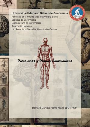 Posiciones Anatómicas
