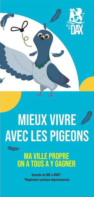Mieux vivre avec les pigeons