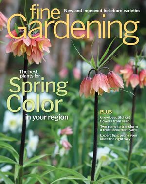 Fine Gardening #222-Preview