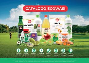 Catalogo Virtual Productos Ecowasi2025