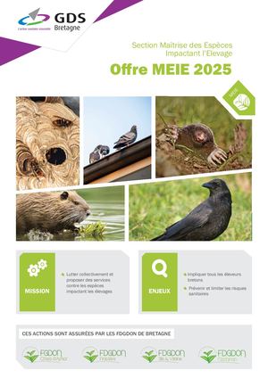 Carte De Services Meie 2025