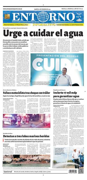 Entorno Informativo 110225