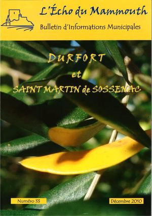 Bulletin 2010 Décembre