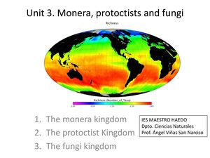 3 Monera, Protoctics & Fungi