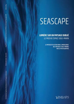 Lumière sur un paysage oublié : le proche espace sous-marin