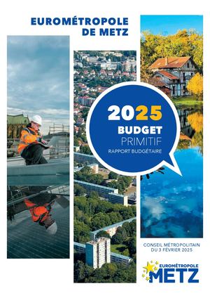 20250203 Conseil Delib P4 1 Rapport Budgetaire Dir Com