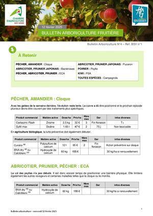 Bulletin Arbo N°4 du 12 Février 2025