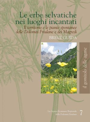 Le erbe selvatiche nei luoghi incantati