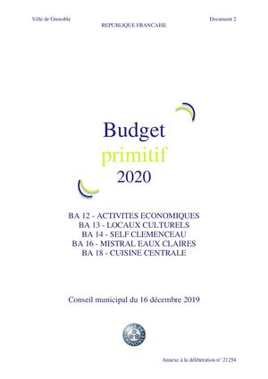 Budget Primitif 2020 - Budgets Annexes