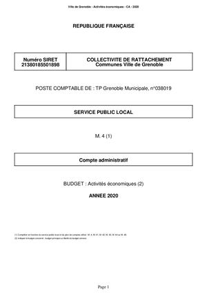 Compte Administratif 2020 - Activités Economiques