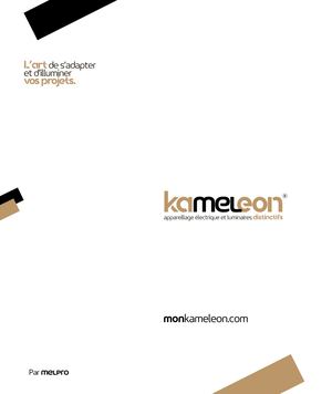 Plaquette Kaméléon® Appareillage électrique et luminaires distinctifs 2025