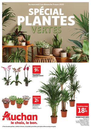 AUCHAN Tocci Plantes Vertes
