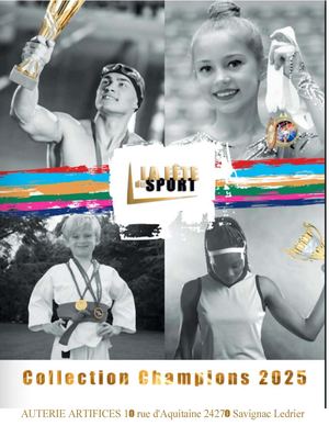 La Fête Du Sport 2025 Coupes Médailles Trophées