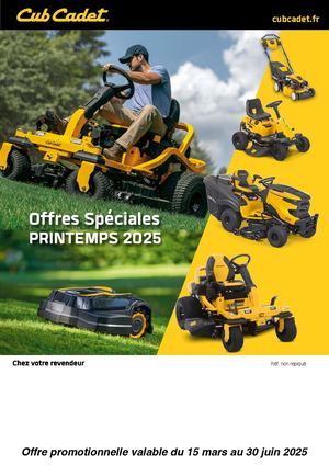 Cub Cadet Mailing Promo 2025