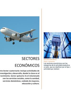 Sectores Economicos