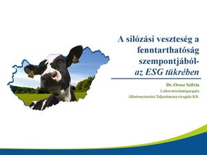 Dr Orosz Szilvia:  A Silózási Veszteség A Fenntarthatóság Szempontjából Az Esg Tükrében