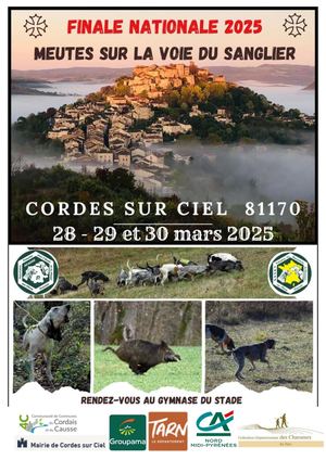 Afaccc81 Finale Meute 2025 Sanglier