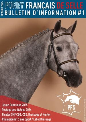 Bulletin d'information - Février 2025