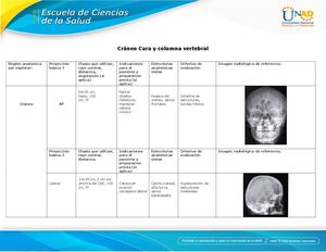Protocolo Fase1 Contextualización Deontológica 154008 34