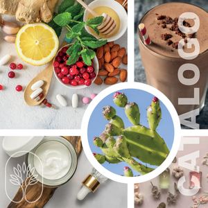 Catalogo Ita Etna Wellness Vers2 25 Web